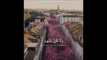 { واصبر وماصبرك إلا بالله } للقارئ رعد الكردي