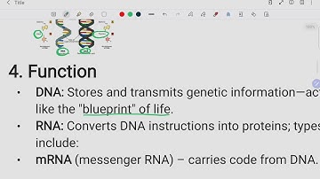 Differences between DNA And RNA