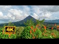 Costa Rica - Natur Paradise  4K  🌄🌅🐒🐦