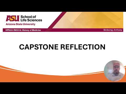 Birdsong Capstone