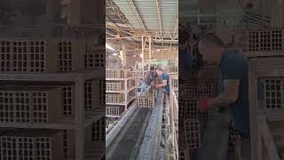 Afyon Tuğla Üretim Fabrikası Toprağın Çamur Olup Tuğlaya Dönüşümü