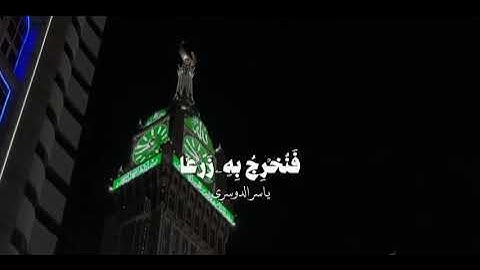 ﴿ أَوَلَمْ يَرَوْا أَنَّا نَسُوقُ الْمَاء ﴾ تلاوة خاشعة بصوت الشيخ ياسر الدوسري 🌧️✨