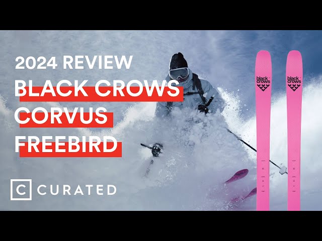 ゆ*う様 Black crows corvus freebird 183cm 2022 Black Crows Corvus Freebird 183cm Skis - Powder7