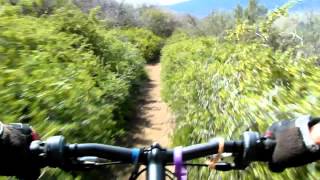 California Downhill Mountain Biking Angeles Forest Old Ridge Route Los Angeles County