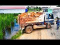 Wonderful Project!! Landfilling Up Flooded By Mountain Stones Using Dozer with 5Ton Trucks