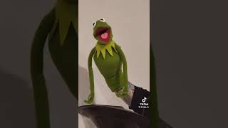Muppet Show SongOf  Rainbow Connection Karoke Setup 
