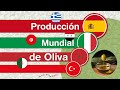 Producción Mundial de Aceitunas, Principales Importadores y Exportadores Incluyendo Aceite de Oliva