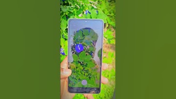 POCO F6 real camera test bes