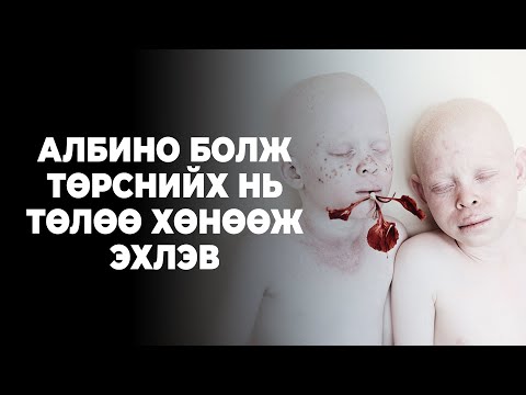 Видео: Ам.доллар, эсвэл доллар гэж юу вэ?