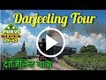 Darjeeling vlog  toy train of darjeeling zoo tea garden peace pagoda visit