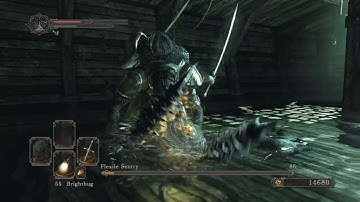 Flexile Sentry - SL1 NG+7 CoC No Roll/Block/Parry