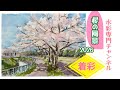 【初心者のための透明水彩】桜の風景 2026 着彩