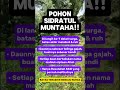 Pohon batas akhir menuju surga #quotes #motivation #shorts #sidratulmuntaha
