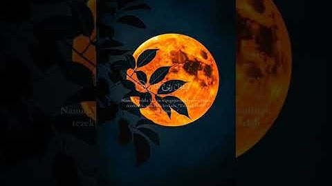  سورة الفجر كاملة | تلاوة مؤثرة بصوت هادئ | راحة نفسية وطمأنينة