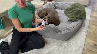 SILVER GRADE Wound Spray for Pets – Colloidal Silver Wound Care for Dogs & Cats – Helps with Skin ,