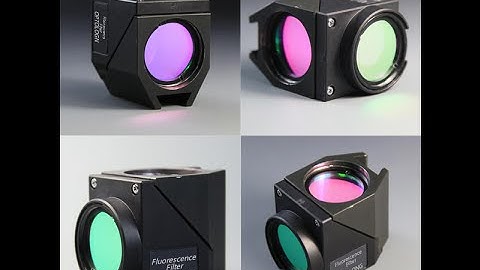 OPTOLONG Fluorescent Microscope Filter