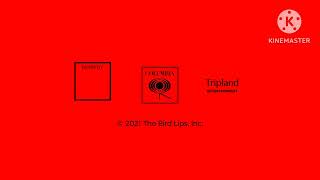 Remedy/Columbia/Tripland Entertainment Logo (2021)