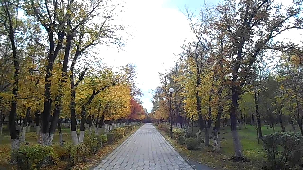 По аллее Центрального парка осенним днём 2020 года, женщина бежит ...