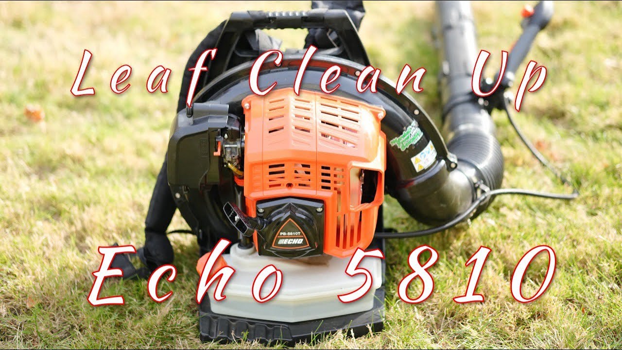 Leaf Clean Up Echo 5810T #pov #satisfying #contentcreator - YouTube