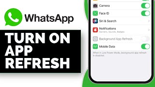 How to Turn Background App Refresh on WhatsApp On or Off on iPhone (2024)
