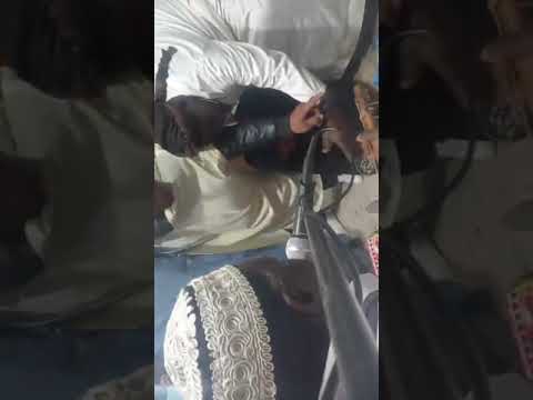 معلم حمتو معروف سيدي بلال العطف 2024 