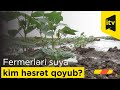 Fermerləri suya kim həsrət qoyub?