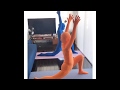 zentai yoga 全身タイツヨガ7