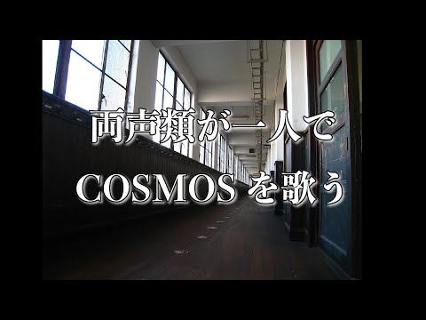 両声類が1人で「COSMOS」/ 合唱曲 歌ってみた(ぼっち合唱)