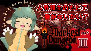 〖Darkest Dungeon〗久しぶりの探索だから殉職者にはお気をつけ