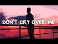 Matthew Nolan - Don't Cry Over Me (Lyrics)