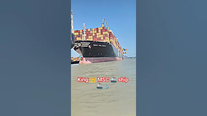 king 👑 MSC 🚢 ship ⚓🚢#trending #shorts #viralvideo #video #song #love #youtubeshorts #ship ⚓🚢🚢⚓