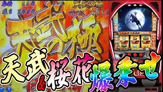 戦国パチスロ 花の慶次～天に愛されし漢～】桜花爆乗せ&天武リベンジ