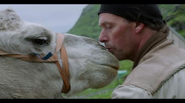THE ARCTIC CAMELS TRAILER  2 MIN  ENG
