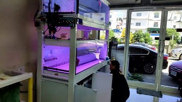 Laser บางแค 2 - งาน Overflow Full Services ตู้ปลา 3 ชั้น (ตู้ 2 กรอง 1) SP & NC. ร่วมทีมกัน Set 3