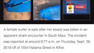 What Not To Do While Vacationing On Maui