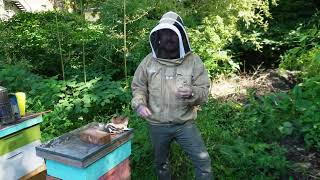 Dan's Master Bee Keeper Certification Field Exam