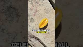 Another Blessed Day ,Thankful