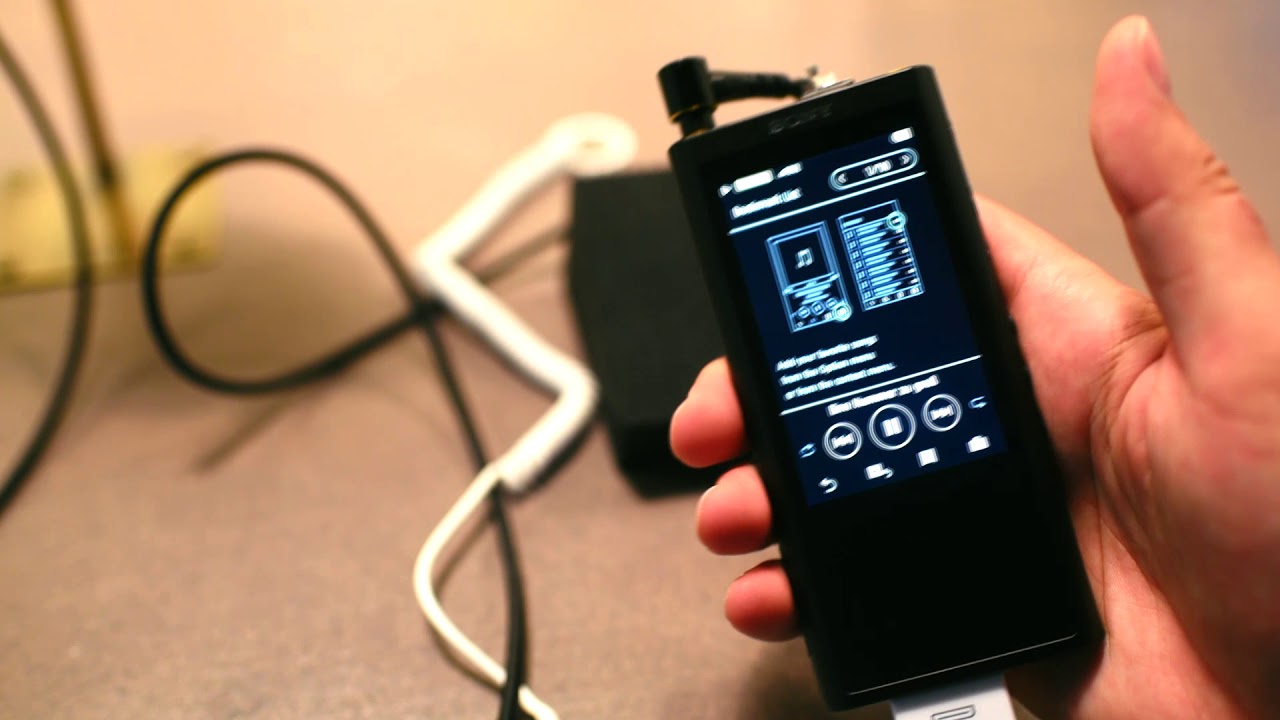 Sony Walkman NW-ZX300 with High-Resolution Audio