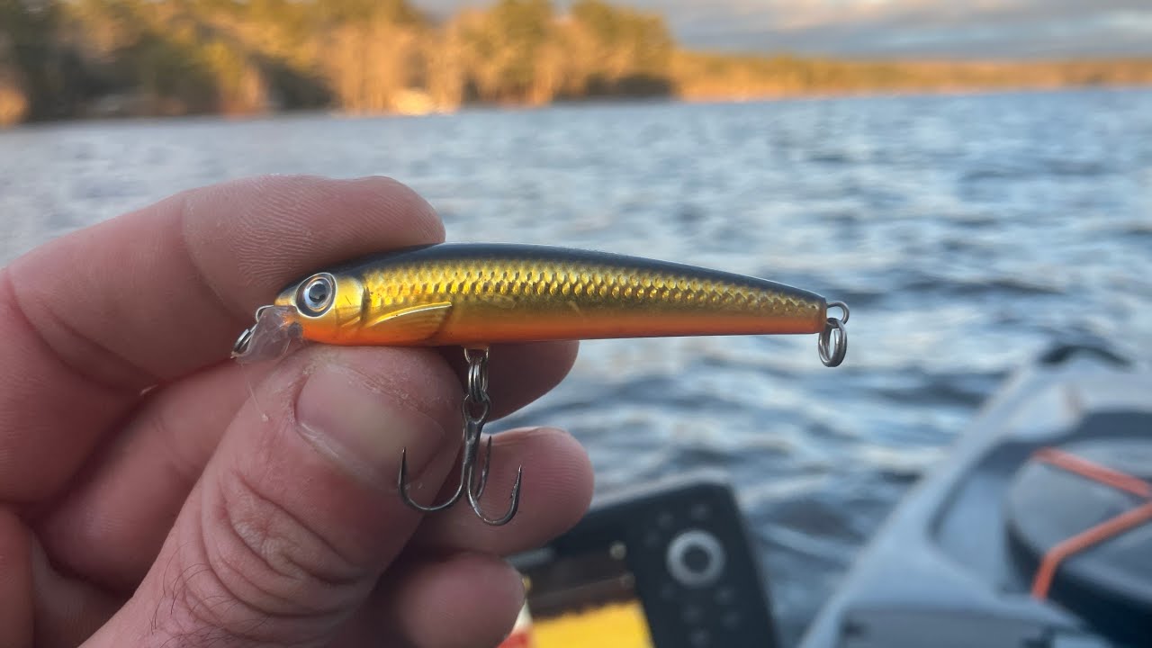 Times Are Tough! We Need Fish!! Kayaking for Big Trout 