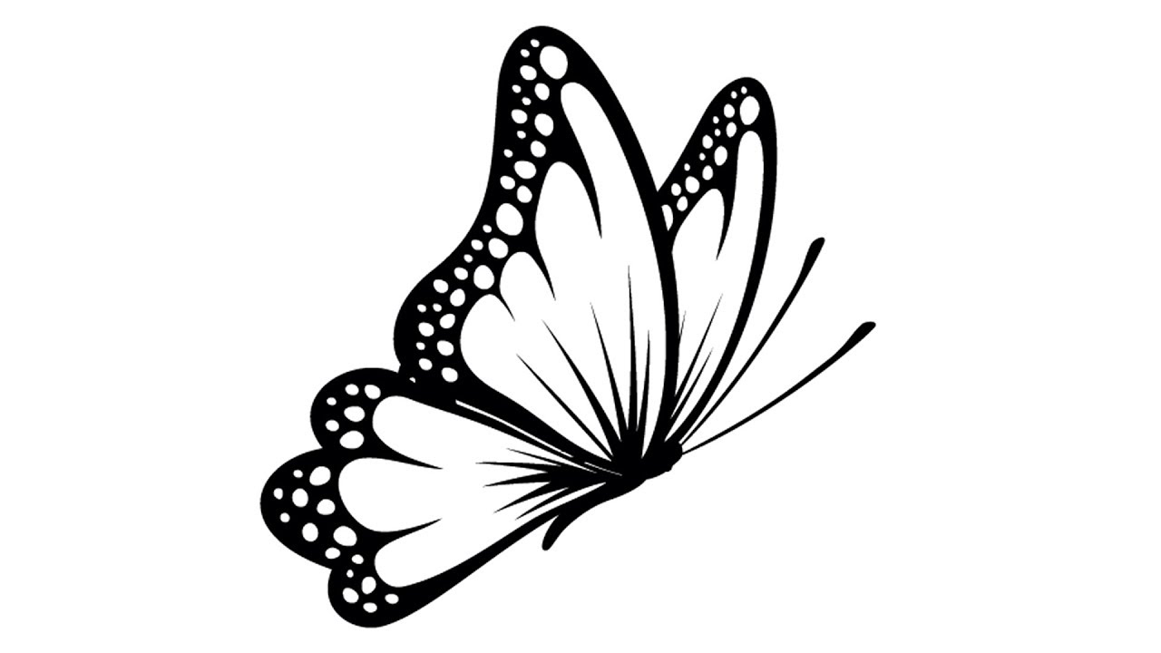 The Best 30 Simple Easy Butterfly Drawing Side View.