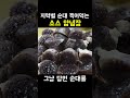지역마다 다른 순대 찍어먹는 소스 양념장 Mp3 Song