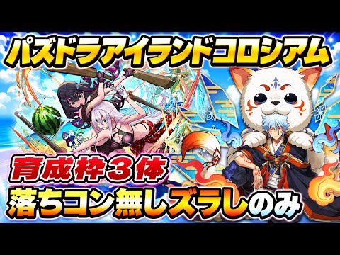 【パズル＆ドラゴンズ】「パズドラアイランド」コロシアム周回！育成枠3体編成の効率化攻略