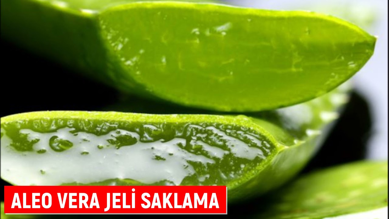 How to Store and Use Aloe Vera Gel - YouTube