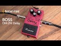 BOSS Waza Craft DM-2W Delay Demo - All Playing, No Talking