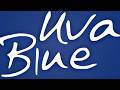 Inside The Pool House: Private Indoor Pool Villa in Puerto Viejo Costa Rica | Uva Blue Villas
