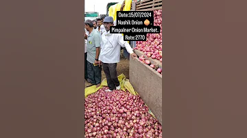 Date 15 07 2024 Pimpalner Onion Market Nashik Onion 