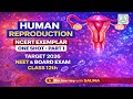 NCERT Exemplar Human Reproduction |Most Expected Questions | NEET 2026 & Class 12 Biology