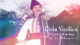 Video thumbnail of "Liviu Vasilică - Fir-ai tu să fii de murg ( DJ Just remix )"