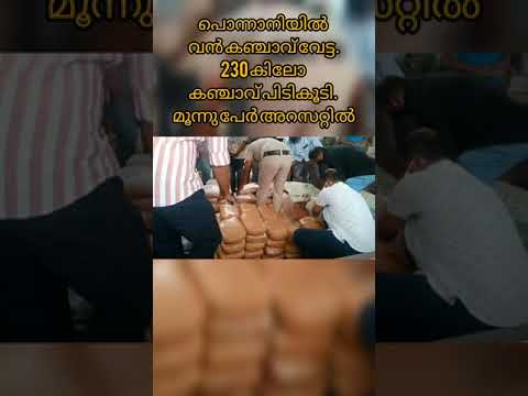 പൊന്നാനിയിൽ വൻ കഞ്ചാവ് വേട്ട.230 കിലോ കഞ്ചാവ് പിടികൂടി. മൂന്നു പേർ അറസറ്റിൽ