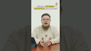 КАКИЕ ВИДЫ ШИРКА БЫВАЮТ?
